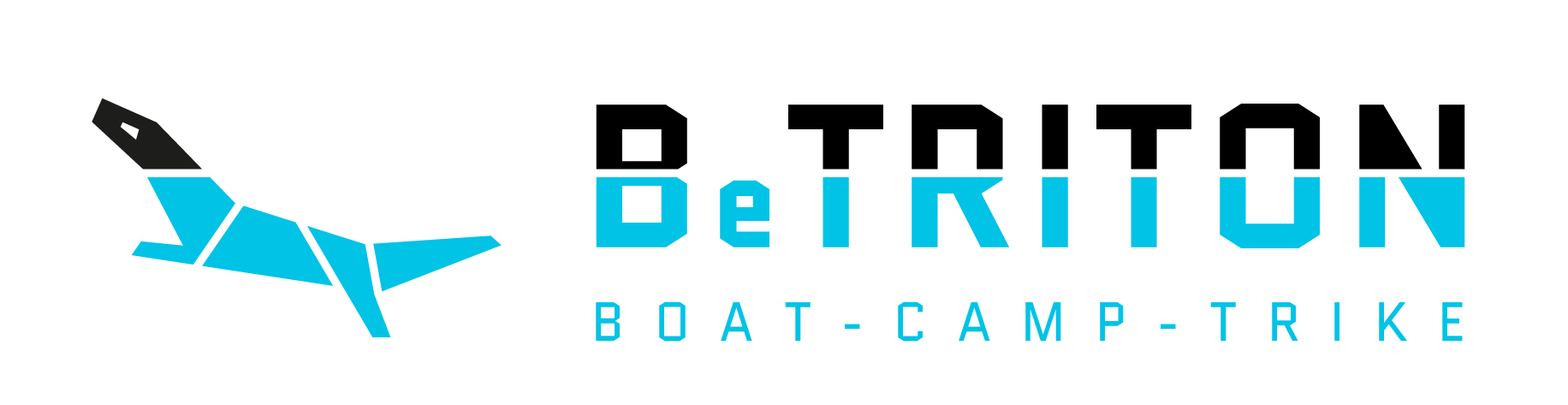 BeTRITON Visas Iesp jas BeTRITON Visas Iesp jas